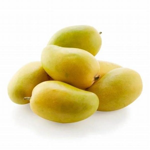 Xoài Cát Hòa Lộc Chín Cây