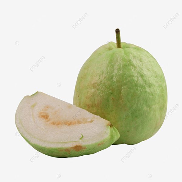 Ổi Nữ Hoàng Giòn Ngọt, Ít Hạt - Chuẩn VietGAP - Hình ảnh 3